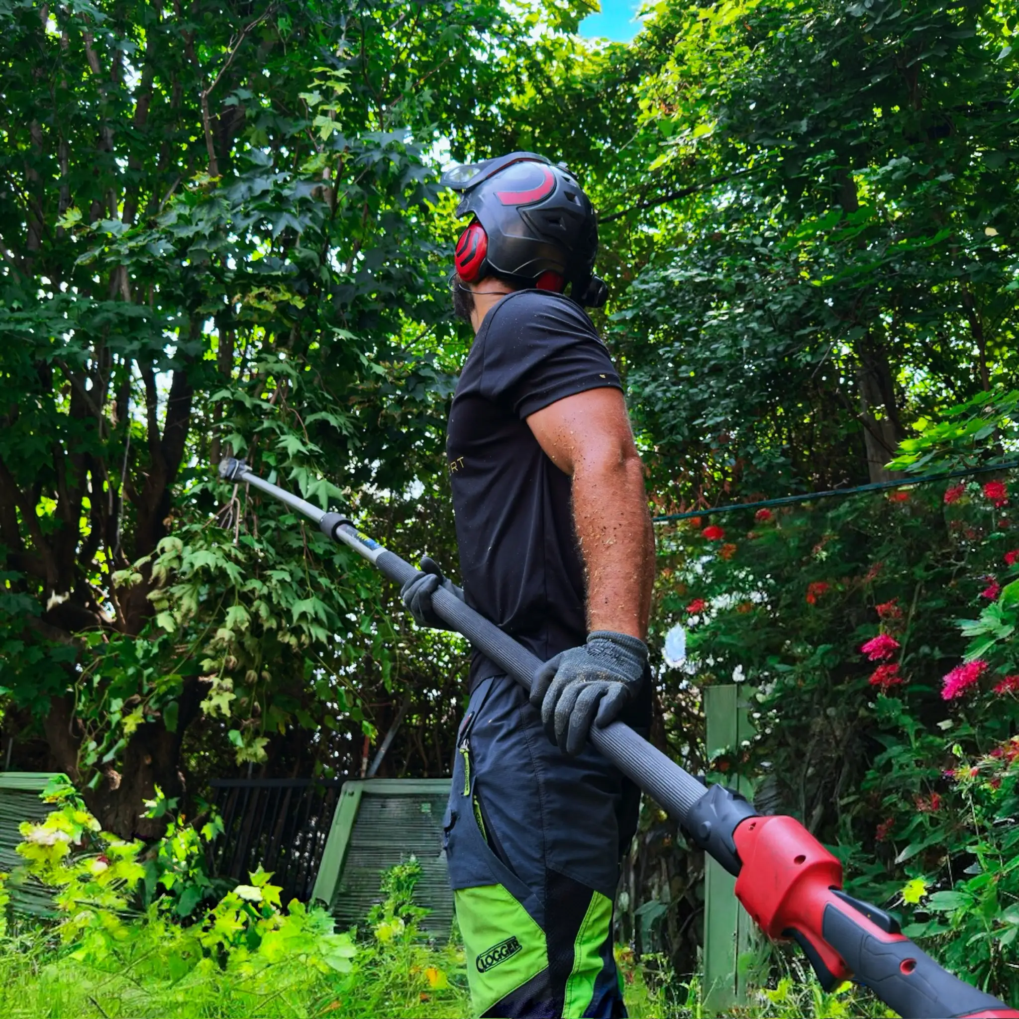 Travail d’émondage avec perche télescopique dans une cour résidentielle à Rosemère