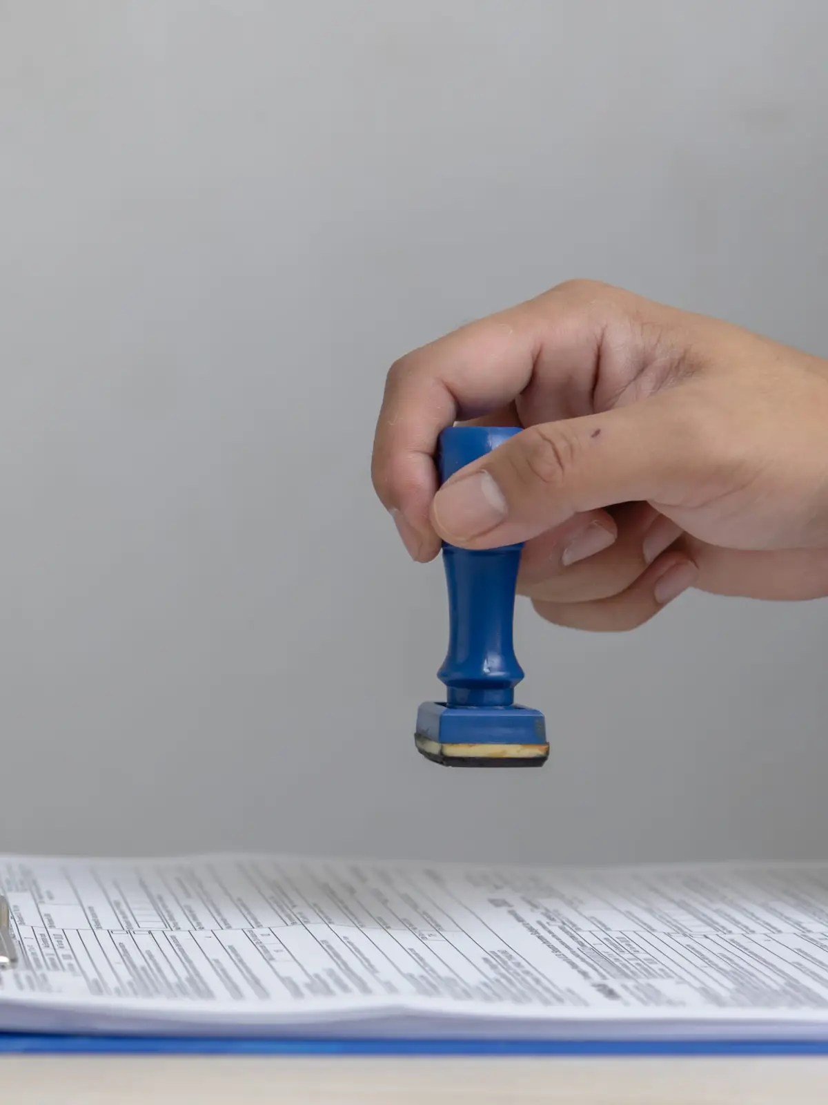 Tampon de validation appliqué sur un rapport d’arboriculture