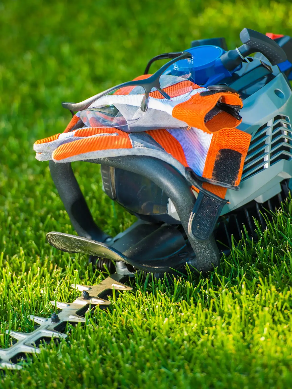 Matériel professionnel de taille de haie posé sur une pelouse fraîchement coupée