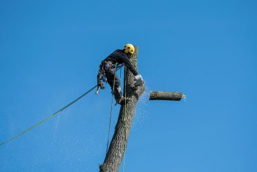 Élagueur professionnel en action, coupant une bûche d'arbre avec une scie pour un service d'abattage sécuritaire.