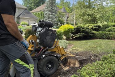 Essouchement en cours à Lorraine : la souche est broyée avec précision à l’aide d’une Vermeer SC362, sans endommager le terrain.