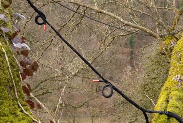 Installation de haubanage professionnel sur un arbre mature afin de stabiliser les branches à risque de rupture. Cette technique permet de préserver l’arbre tout en sécurisant les zones environnantes.