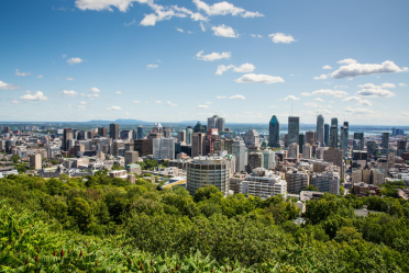 Vue panoramique du centre-ville de Montréal et de ses arbres qui donnent sur les grattes-ciels, observée depuis le Mont-Royal. 