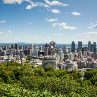 Le skyline des arbres du mont-royal de Montréal par une journée ensoleillée, vu depuis les hauteurs du Mont-Royal. 